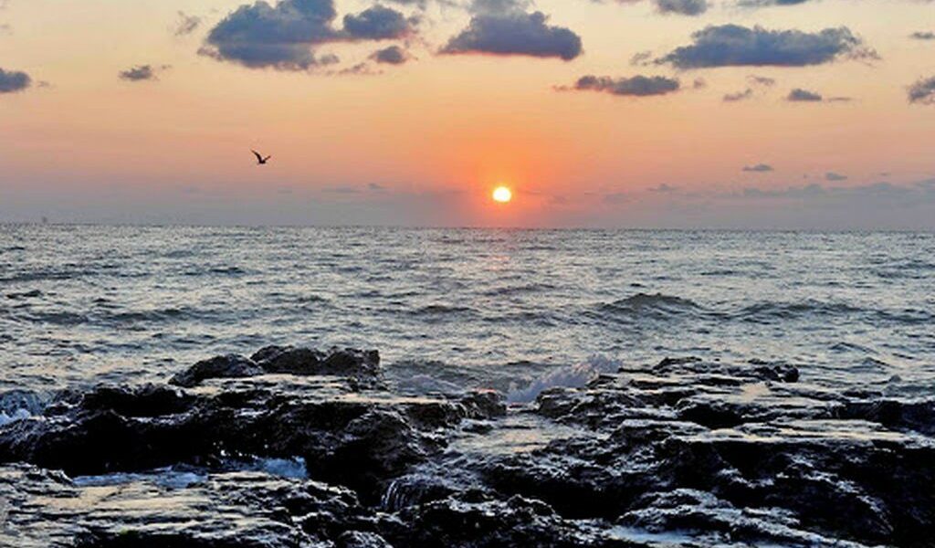 Războiul din Ucraina amenință grav ecosistemul Mării Negre, inclusiv litoralul românesc Conflictul declanșat de Rusia în Ucraina riscă să provoace daune majore ecosistemului Mării Negre, avertizează cercetătorii