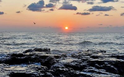 Războiul din Ucraina amenință grav ecosistemul Mării Negre, inclusiv litoralul românesc Conflictul declanșat de Rusia în Ucraina riscă să provoace daune majore ecosistemului Mării Negre, avertizează cercetătorii