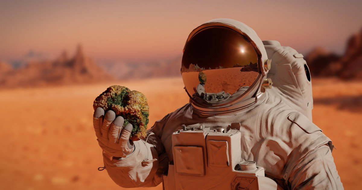 Zonele secrete de pe Marte: De ce explorarea Planetei Roșii este mai dificilă decât pare Misiunile spațiale care vizează Marte se confruntă cu o serie de restricții importante, impuse pentru a proteja planeta de contaminarea cu microorganisme terestre