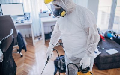 Primăvara aduce valul infestărilor: cum ne protejăm locuințele Odată cu încălzirea vremii, cresc semnificativ solicitările pentru serviciile de dezinsecție și deratizare în București, arată datele recente