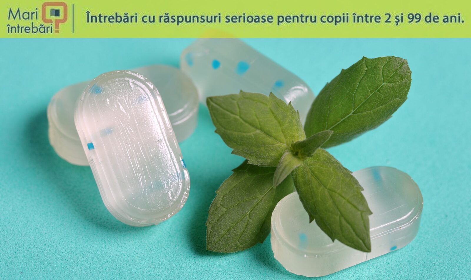 Mecanismul senzației de frig, elucidat de oamenii de știință Un grup de cercetători a reușit să descifreze modul în care corpul uman detectează senzația de frig și efectul de răcorire al mentolului