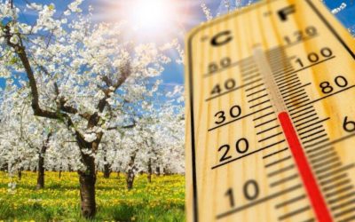 Prognoza meteo pentru aprilie: Vremea capricioasă și precipitații peste medie Administrația Națională de Meteorologie (ANM) a făcut publice estimările privind vremea pentru luna aprilie în România