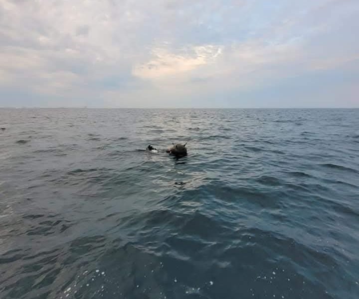 Rusia neagă orice implicare în minele marine din Marea Neagră, după acuzațiile României Ambasada Rusiei la București a respins categoric acuzațiile privind implicarea țării sale în plasarea minelor marine în Marea Neagră, după ce ministrul român al Apărării a sugerat o experiență în deminarea acestora