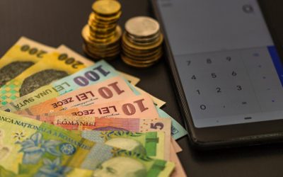 Scădere majoră în consumul românilor: Serviciile pentru gospodării, în declin abrupt Volumul de afaceri al companiilor românești care oferă servicii gospodăriilor a scăzut cu 13,1% în ianuarie, comparativ cu aceeași perioadă a anului trecut