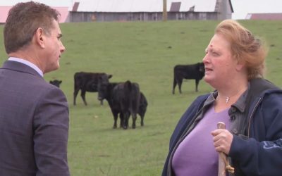 O fermieră din Kentucky refuză o ofertă de 26 de milioane de dolari pentru terenul familiei, preferând să păstreze tradiția O fermieră din statul american Kentucky a respins o ofertă de 26 de milioane de dolari pentru o parte a terenului agricol deținut de familia sa de generații