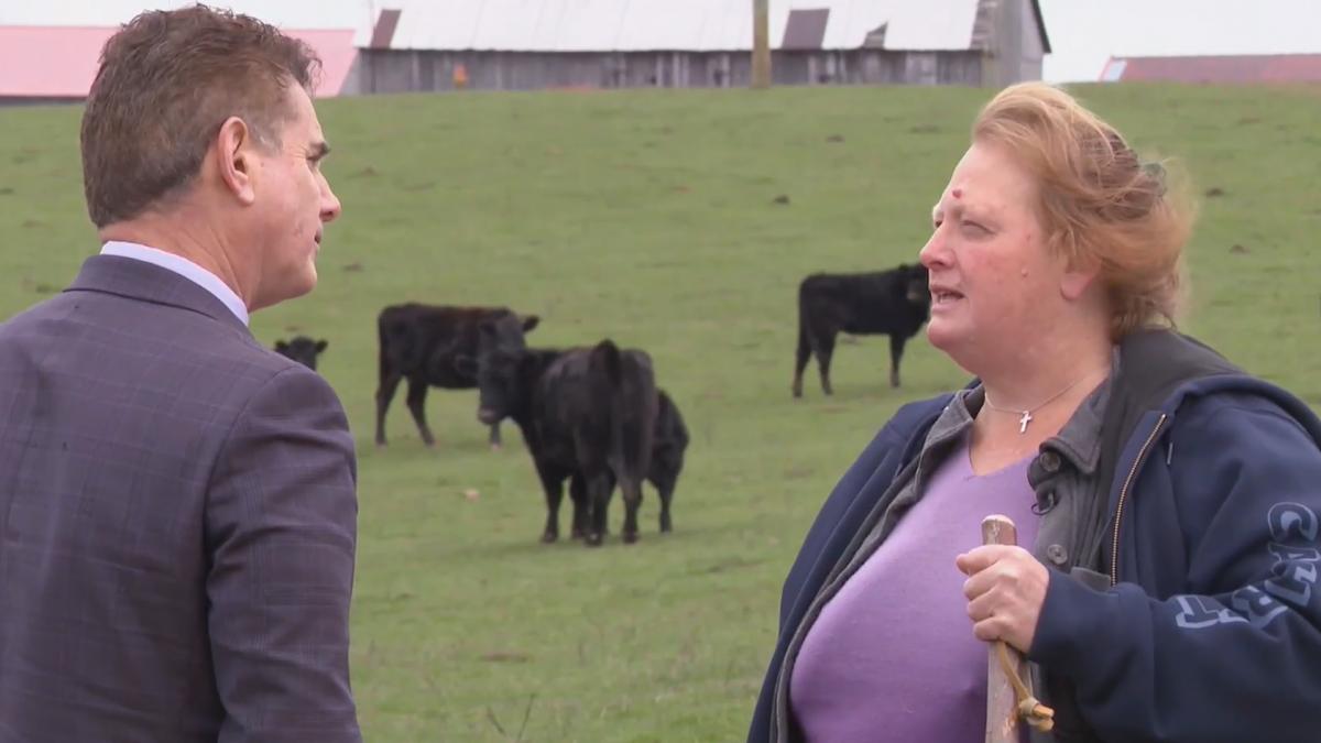 O fermieră din Kentucky refuză o ofertă de 26 de milioane de dolari pentru terenul familiei, preferând să păstreze tradiția O fermieră din statul american Kentucky a respins o ofertă de 26 de milioane de dolari pentru o parte a terenului agricol deținut de familia sa de generații