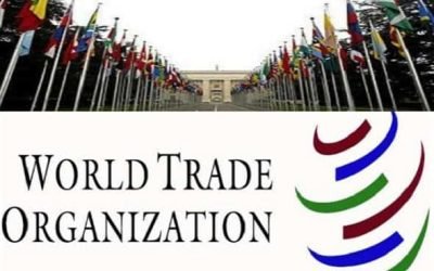 Un grup de state membre ale Organizației Mondiale a Comerțului (OMC) a aprobat primele reguli globale pentru comerțul electronic