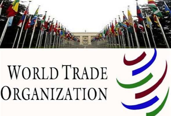 Un grup de state membre ale Organizației Mondiale a Comerțului (OMC) a aprobat primele reguli globale pentru comerțul electronic