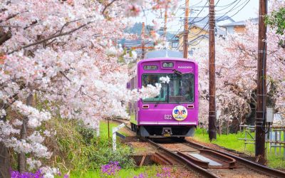 Taxă de hotel considerabilă pentru turiștii din „orașul prietenos”
