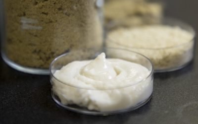 Orezul, noua vedetă din lumea brânzeturilor vegane? Cercetătorii explorează potențialul orezului ca ingredient principal pentru alternativele vegetale la brânză, în încercarea de a îmbunătăți profilul nutrițional și textura acestor produse