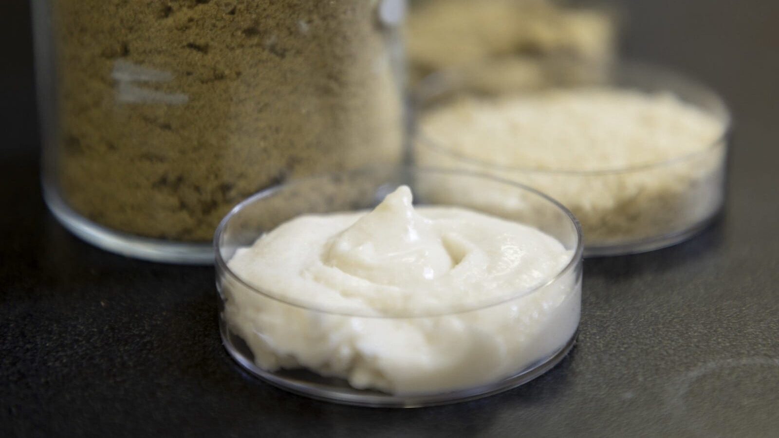 Orezul, noua vedetă din lumea brânzeturilor vegane? Cercetătorii explorează potențialul orezului ca ingredient principal pentru alternativele vegetale la brânză, în încercarea de a îmbunătăți profilul nutrițional și textura acestor produse