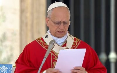 Papa Leon condamnă războiul și transmite un mesaj de pace în Piața „Sfântul Petru” Mii de creștini s-au adunat în Piața „Sfântul Petru” din Vatican pentru a participa la procesiunea de Florii, unde Papa Leon a oficiat slujba