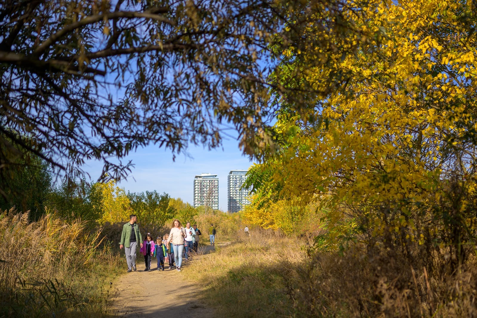 Ghid practic pentru Săptămâna Verde: Elevii sunt invitați să exploreze natura Asociația Parcul Natural București (APNB) a lansat un ghid adresat profesorilor și elevilor, pentru a facilita organizarea Săptămânii Verzi în școli