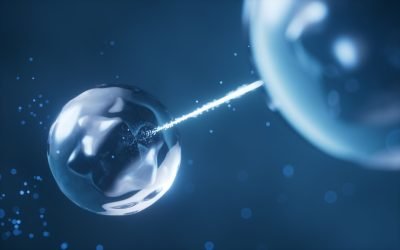 Studiu: Particulele pot exista simultan în două locuri