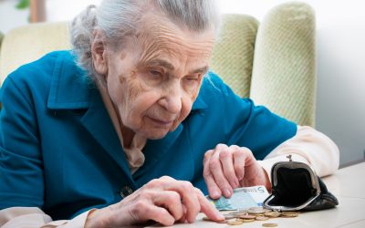 Propunere: Ajutor financiar în aprilie și decembrie