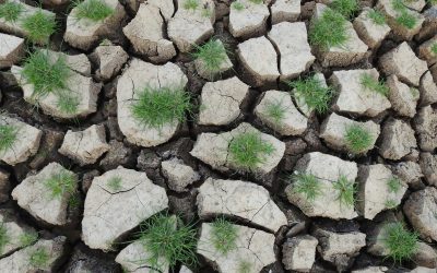 Comisia Europeană caută experți pentru a consolida reziliența apei în UE Uniunea Europeană face un pas important pentru a consolida securitatea apei, lansând un apel pentru experți care vor face parte din noua Platformă privind reziliența apei