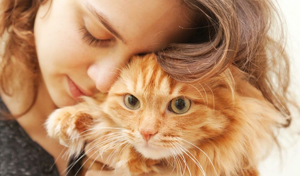 Cancerul mamar: Cercetări revoluționare identifică similitudini genetice uluitoare între pisici și oameni O descoperire științifică recentă aduce speranță în lupta împotriva cancerului mamar, dezvăluind o legătură genetică surprinzătoare între pisici și oameni