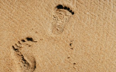 Licitații pentru plaje: Ministrul Mediului, despre transparență și „grupuri de interes” Numărul mare de firme înscrise la o recentă licitație pentru concesionarea plajelor a stârnit reacții pozitive din partea Ministerului Mediului