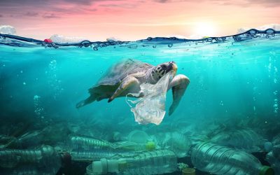 Oceanul ascunde un pericol nevăzut: 27 de milioane de tone de nanoplastice Un nou studiu realizat de cercetători de la Institutul Regal Neerlandez pentru Cercetare Marină (Royal Netherlands Institute for Sea Research) a scos la iveală o problemă alarmantă: oceanele lumii sunt pline de nanoplastice, particule minuscule, greu de detectat, dar extrem de periculoase