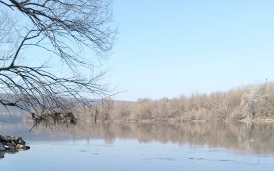 Aprovizionare cu apă potabilă pentru Republica Moldova, afectată de poluare Municipiul Iași a trimis peste 46.000 de litri de apă potabilă în sprijinul localităților Bălți și Soroca din Republica Moldova, afectate de poluarea râului Nistru