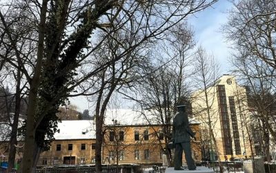 Brașov: Zeci de arbori prezintă risc de cădere; autoritățile iau măsuri Autoritățile din Brașov au demarat o serie de verificări amănunțite ale arborilor din oraș, în urma unui incident tragic petrecut anul trecut