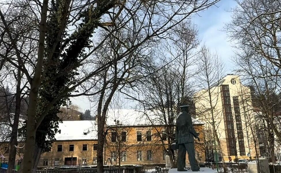 Brașov: Zeci de arbori prezintă risc de cădere; autoritățile iau măsuri Autoritățile din Brașov au demarat o serie de verificări amănunțite ale arborilor din oraș, în urma unui incident tragic petrecut anul trecut