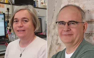 Două cadre didactice de la UBB Cluj, premiate de Academia Maghiară de Științe Academia Maghiară de Științe a anunțat laureații Premiului și Medaliei Arany János, distincții acordate pentru realizări remarcabile în domeniul științei