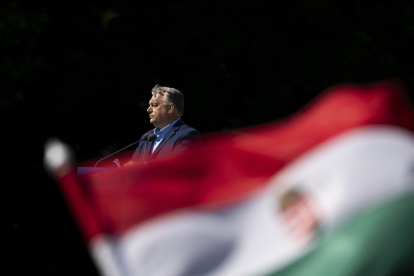 De ce tineri din transilvania fac campanie pentru orban, plătiți?