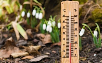 Administrația Națională de Meteorologie (ANM) a emis prognoza meteo pentru următoarele patru săptămâni, cuprinzând perioada 9 martie – 5 aprilie 2026