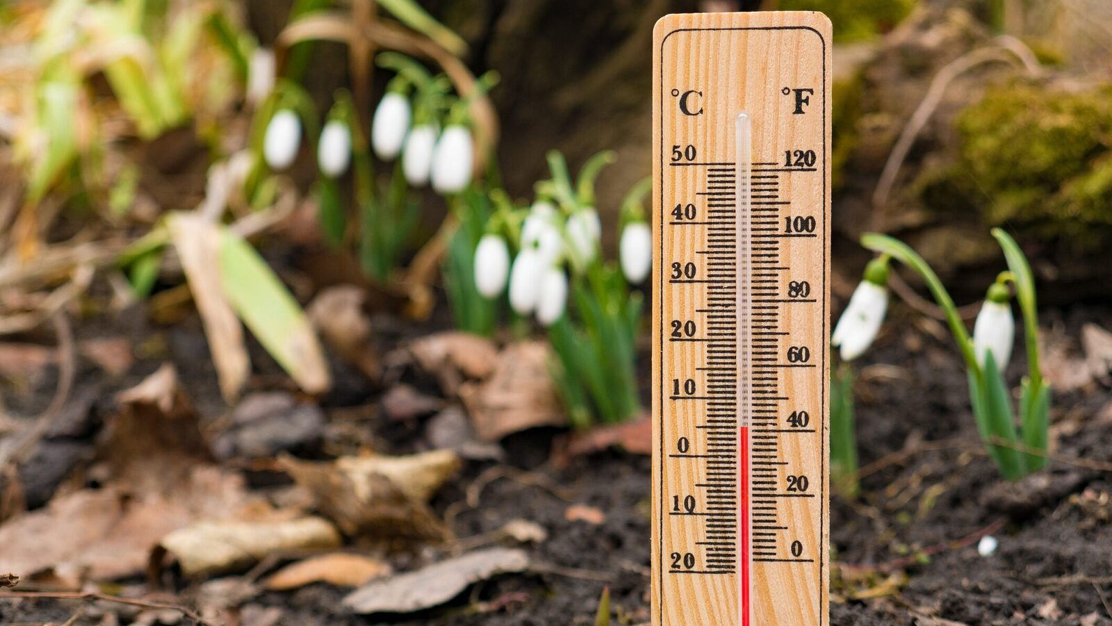 Administrația Națională de Meteorologie (ANM) a emis prognoza meteo pentru următoarele patru săptămâni, cuprinzând perioada 9 martie – 5 aprilie 2026