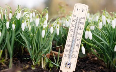 Prognoza meteo: Bucureștenii se bucură de temperaturi peste medie, dar România se pregătește de vânt puternic Bucureștenii se pot aștepta la temperaturi mai ridicate decât cele obișnuite în weekend, potrivit Administrației Naționale de Meteorologie (ANM)