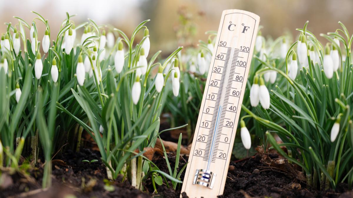 Prognoza meteo: Bucureștenii se bucură de temperaturi peste medie, dar România se pregătește de vânt puternic Bucureștenii se pot aștepta la temperaturi mai ridicate decât cele obișnuite în weekend, potrivit Administrației Naționale de Meteorologie (ANM)