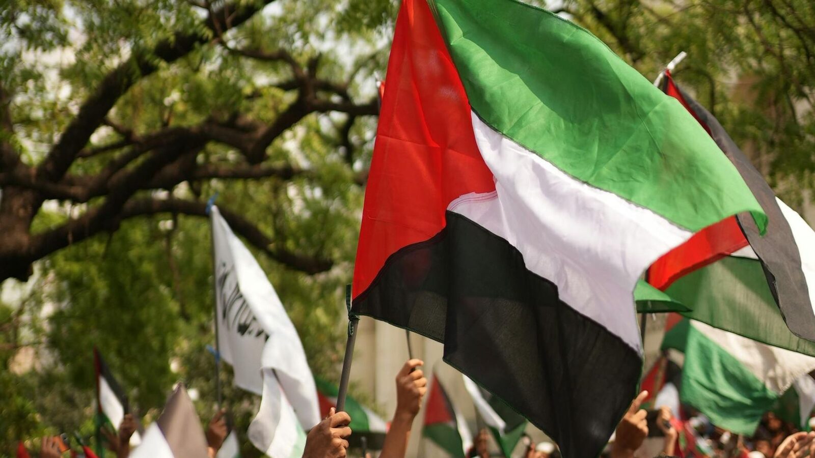 Protest pro-Palestina în Capitală: Jandarmeria anunță măsuri de siguranță Un protest de susținere a cauzei palestiniene este programat pentru duminică, 29 martie 2026, în centrul Bucureștiului