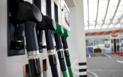 Grindeanu cere măsuri anti-criză. PSD, ficus în coaliție?