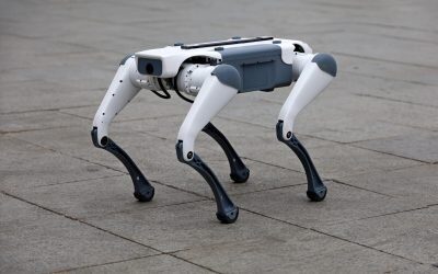 Roboți patrulează străzile din Târgu Mureș pentru a promova colectarea selectivă Un câine-robot, alături de roboți umanoizi, a început să patruleze pe străzile din Târgu Mureș, transmițând mesaje vocale locuitorilor cu privire la importanța colectării selective a deșeurilor