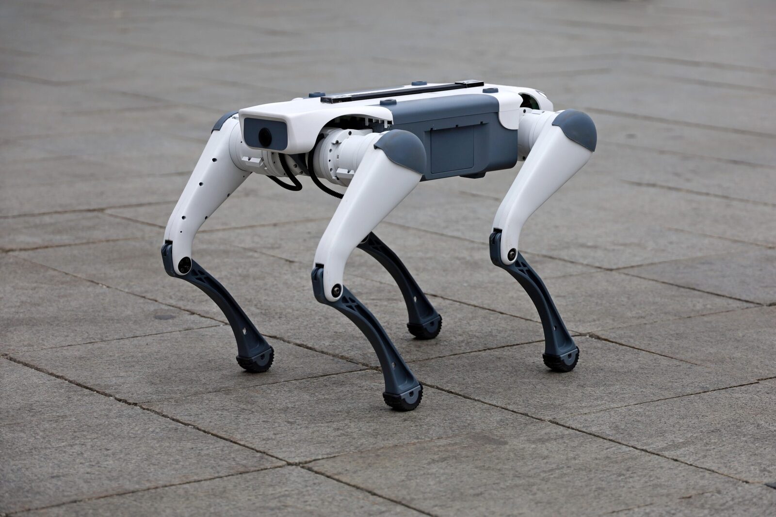 Roboți patrulează străzile din Târgu Mureș pentru a promova colectarea selectivă Un câine-robot, alături de roboți umanoizi, a început să patruleze pe străzile din Târgu Mureș, transmițând mesaje vocale locuitorilor cu privire la importanța colectării selective a deșeurilor