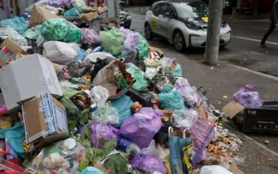 Sectorul 1 aprobă societatea de salubrizare, dar USR se opune din cauza costurilor Consiliul Local al Sectorului 1 a aprobat, marți, 31 martie 2026, studiul de oportunitate pentru înființarea unei societăți de salubrizare