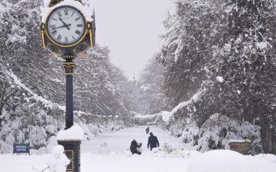 Ninsori slabe anunțate în București pentru miercuri, dar atenționări meteo în restul țării Bucureștenii se pot aștepta la ninsori slabe miercuri, 26 februarie 2026, conform prognozei speciale emise de Administrația Națională de Meteorologie (ANM)