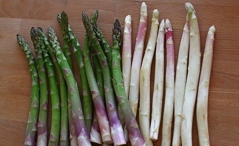 Scandal în Italia: Restaurantele din Bassano refuză sparanghelul „prematur” Un conflict aprins a izbucnit în regiunea Bassano, Italia, unde 25 de proprietari de restaurante au hotărât să refuze sparanghelul comercializat înainte de debutul oficial al sezonului