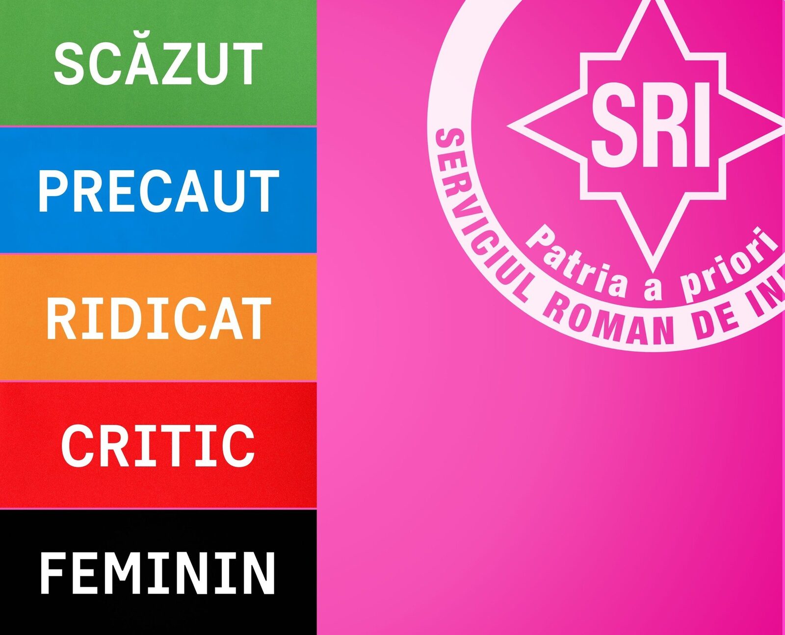 SRI, criticat pentru o postare pe Facebook de 8 martie Serviciul Român de Informații (SRI) a stârnit controverse pe rețelele de socializare cu o postare dedicată Zilei Femeii
