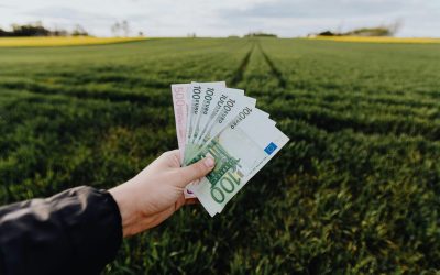 Luni: Plata autorizațiilor pentru toți beneficiarii