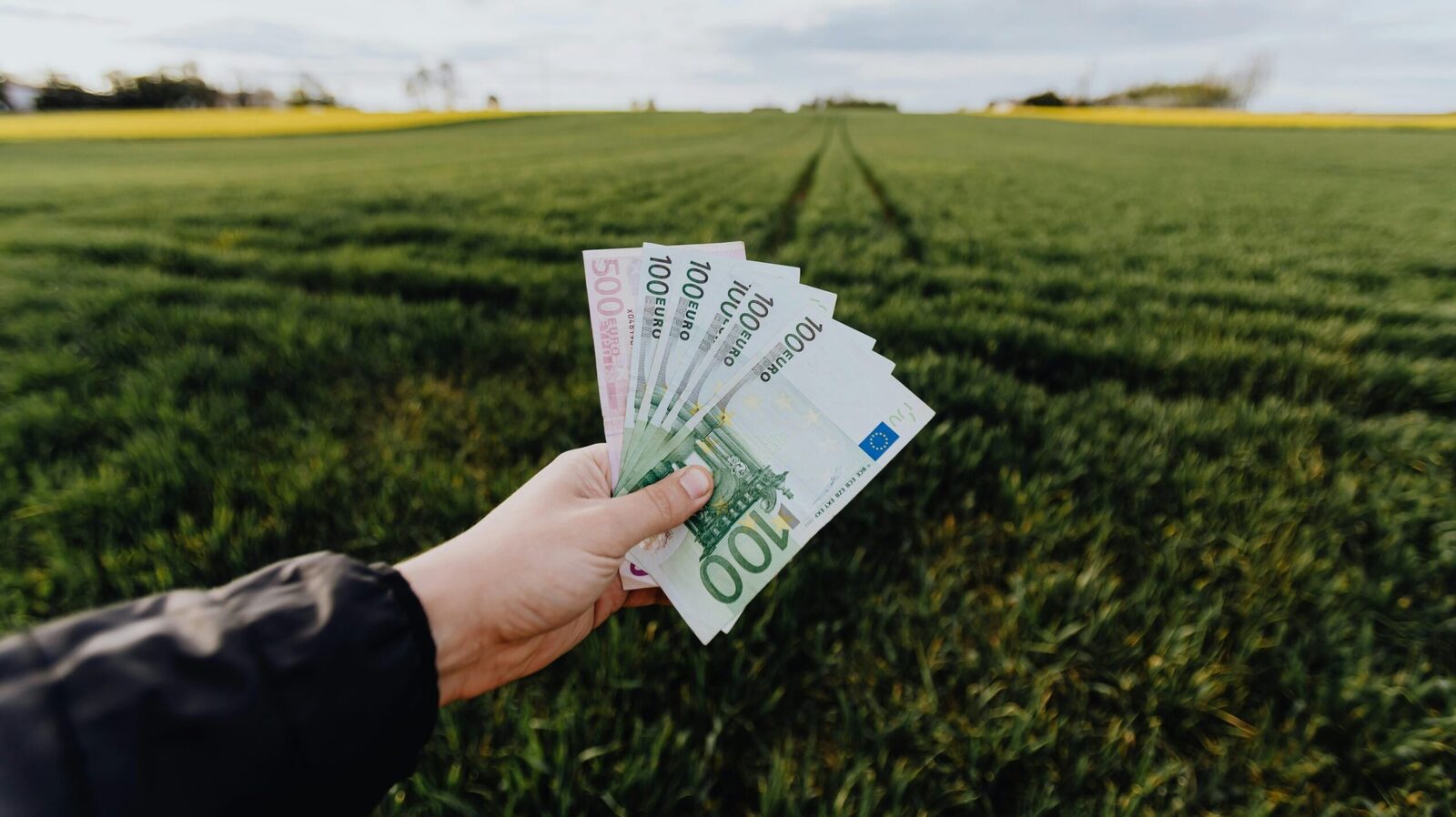 Luni: Plata autorizațiilor pentru toți beneficiarii