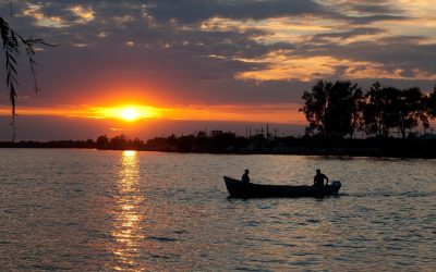 Un atelier de marangozerie readuce la viață meșteșugul bărcilor în Delta Dunării Alexandru Onofrei, fondatorul Asociației Nod în Papură, inițiază un proiect prin care intenționează să revitalizeze arta construirii bărcilor din lemn în inima Deltei Dunării