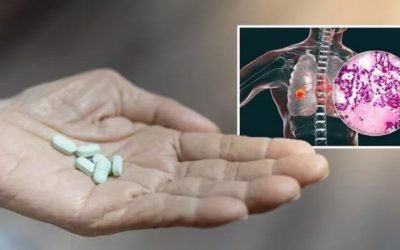 Atenție la combinațiile de suplimente alimentare: Ce spun specialiștii Un număr tot mai mare de români apelează la suplimente alimentare, fie pentru a-și spori nivelul de energie, fie pentru a-și întări sistemul imunitar