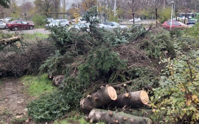 Schimbări majore în silvicultură: Ministerul Mediului introduce echipamente moderne pentru a combate tăierile ilegale Ministerul Mediului, Apelor și Pădurilor a anunțat, prin intermediul unui ordin de ministru, o serie de măsuri menite să modernizeze metodele de marcare a arborilor și să reducă tăierile ilegale de pădure