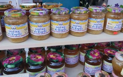 Ghiroda, vestul țării atrage apicultori din patru țări la târgul de primăvară Comuna Ghiroda, situată în apropierea Timișoarei, găzduiește în acest weekend cea de-a XV-a ediție a Târgului Apicol Internațional de Primăvară