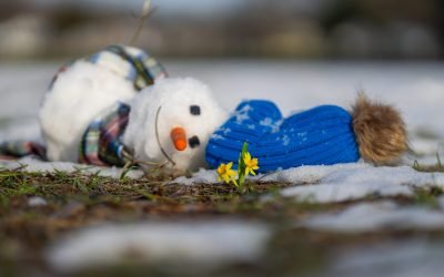 Primăvară cu temperaturi peste medie: Prognoza meteo pentru luna martie Administrația Națională de Meteorologie (ANM) a emis o prognoză pentru luna martie, anunțând temperaturi mai ridicate decât cele normale pentru această perioadă, în majoritatea regiunilor țării