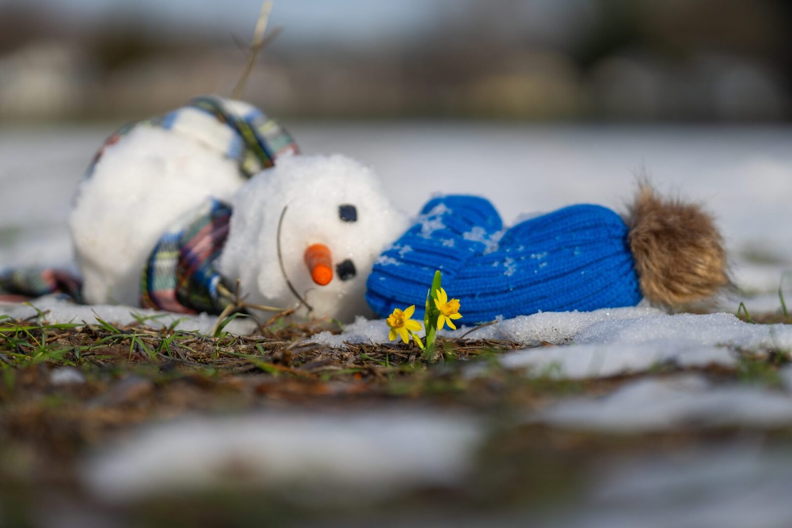 Primăvară cu temperaturi peste medie: Prognoza meteo pentru luna martie Administrația Națională de Meteorologie (ANM) a emis o prognoză pentru luna martie, anunțând temperaturi mai ridicate decât cele normale pentru această perioadă, în majoritatea regiunilor țării