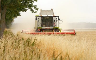 Limite pentru achiziția de teren agricol de către străini: Inițiativa AUR în Parlament Un proiect de lege care vizează impunerea unor limite pentru suprafața de teren agricol ce poate fi achiziționată de persoane fizice sau juridice din alte state membre ale Uniunii Europene a fost inițiat de deputatul AUR, Lucian Mușat