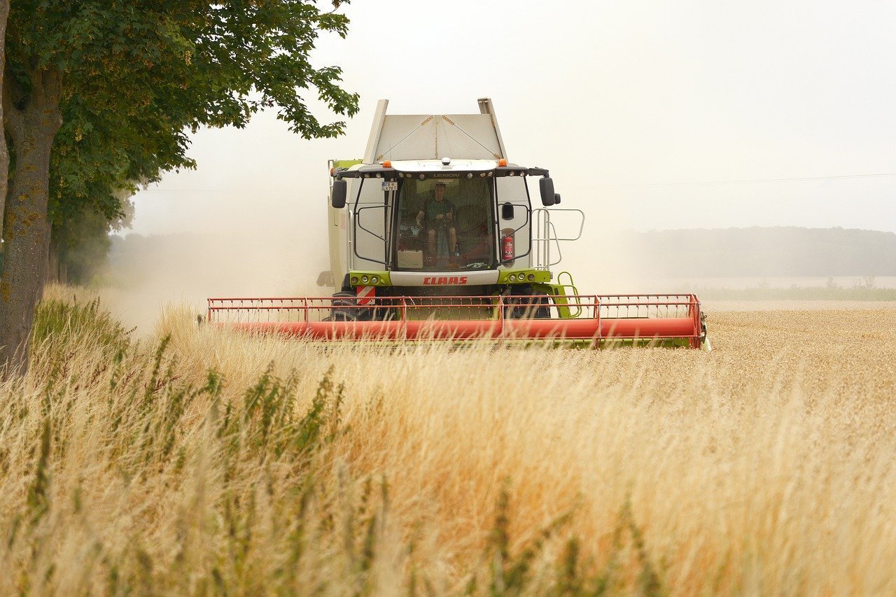 Limite pentru achiziția de teren agricol de către străini: Inițiativa AUR în Parlament Un proiect de lege care vizează impunerea unor limite pentru suprafața de teren agricol ce poate fi achiziționată de persoane fizice sau juridice din alte state membre ale Uniunii Europene a fost inițiat de deputatul AUR, Lucian Mușat